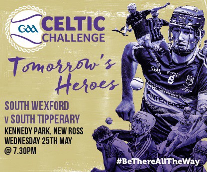 Celtic Challenge Under 17 Hurling – South Wexford 3-15 South Tipperary 1-14 – Match Report