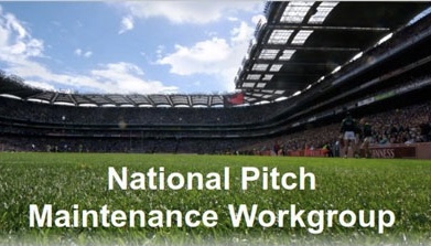 Virtual Pitch Maintenance and Development Seminar