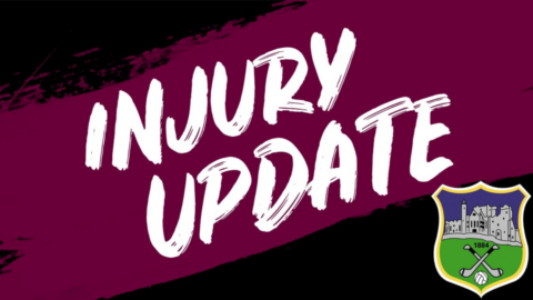 Tipperary Senior Hurling Panel Injury Update